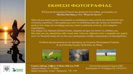 event img