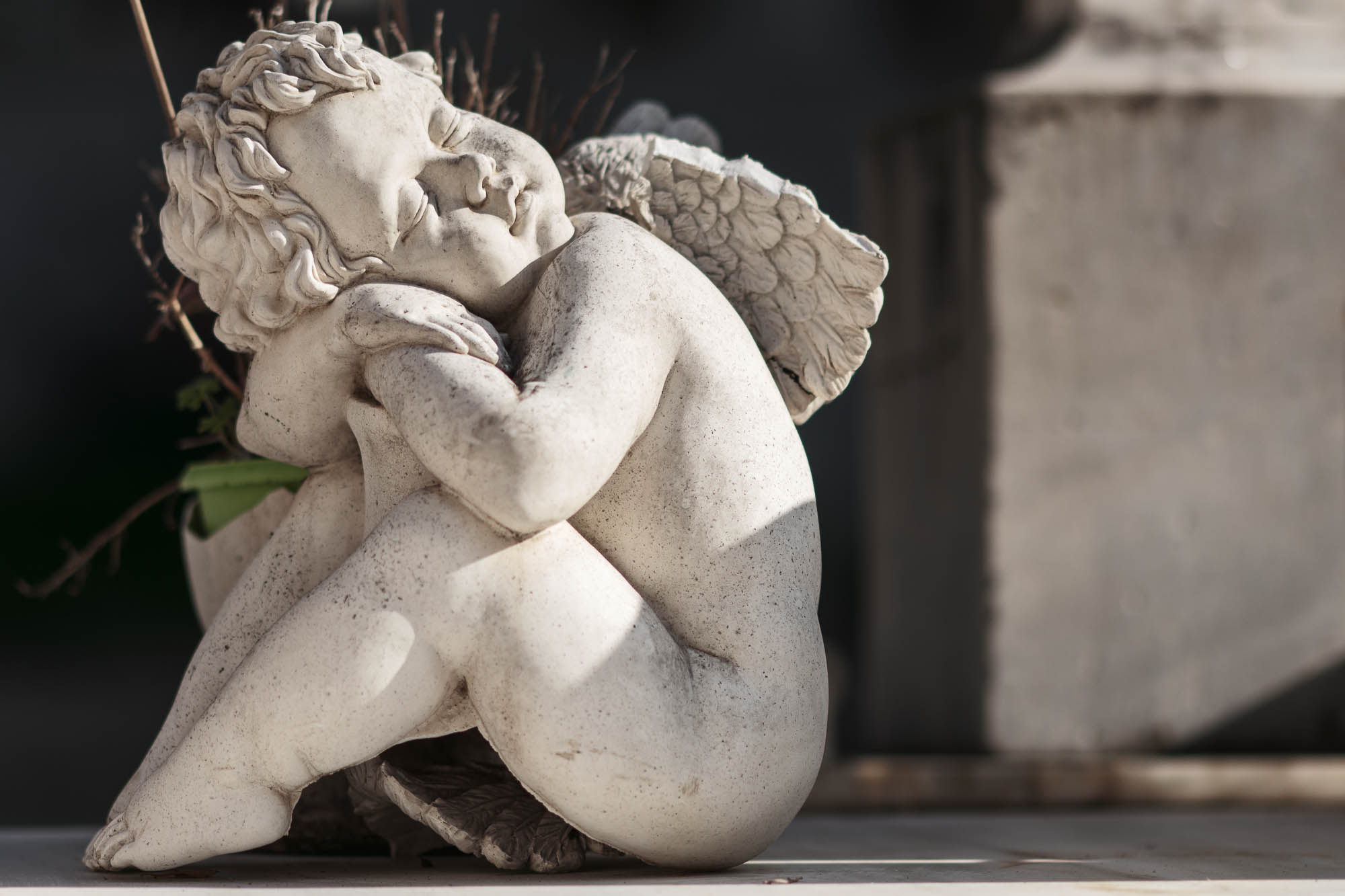 Απολαμβάνοντας τον ήλιο