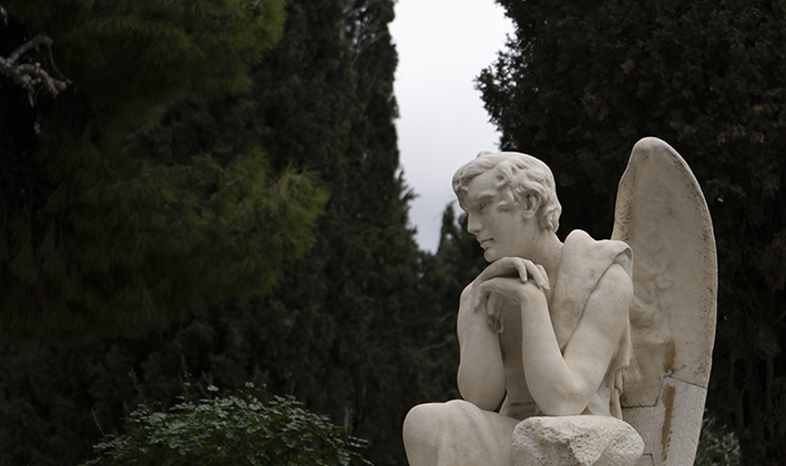 DSC04869 copysmall.jpg